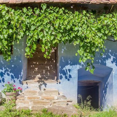 Experience Transylvania Viscri 63B Exterior photo